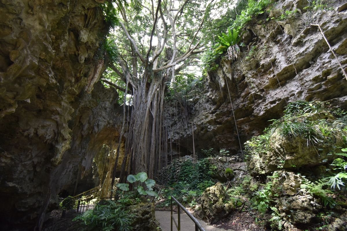 🏞️ 강갈라 계곡 (간가라노타니) 이미지 8